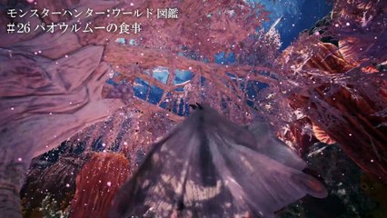 Monster Hunter: World - Paolumu 1