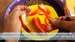 How to Grow Chillies from Chillies at Home (Fast N Easy )-SwDzOFApKno