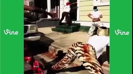 ☞ Thot House Vine Compilation - Thot House Dance Compilation 2015 #273 ✔