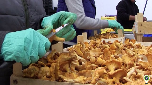 Opérateur / opératrice de fabrication agroalimentaire, un métier du Livradois-Forez