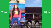 ☞ Hit That Dolphin Dance Vine Compilation - #DaDolphinChallenge Compilation #272 ✔