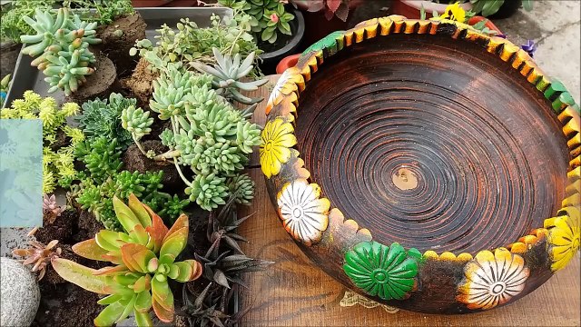 How To Grow Succulent Plants (with Care Tips)-IidNGgDD_xQ