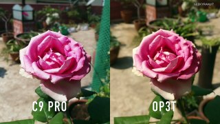 Samsung Galaxy C9 Pro vs OnePlus 3T Camera Comparison-92x1eddHX_w