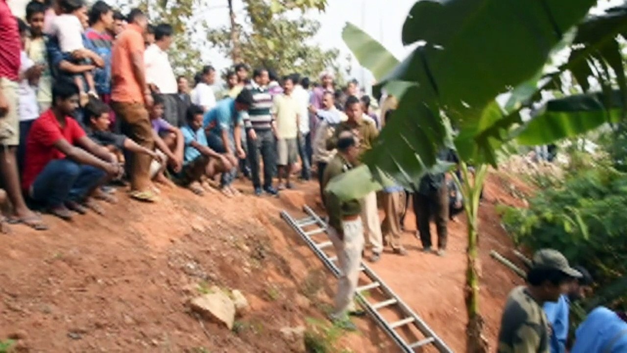 Un léopard secouru du fond d'un puits en Inde