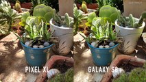 Samsung Galaxy S8  Vs Google Pixel XL Camera Compared-UbzEfRRM1UQ
