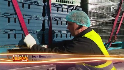 Brexit : les entreprises irlandaises dans le brouillard