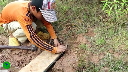 Wow! Creative Boy Makes Python Snake Trap Using Nets & Branches - The Best Big Python Trap Work 100%
