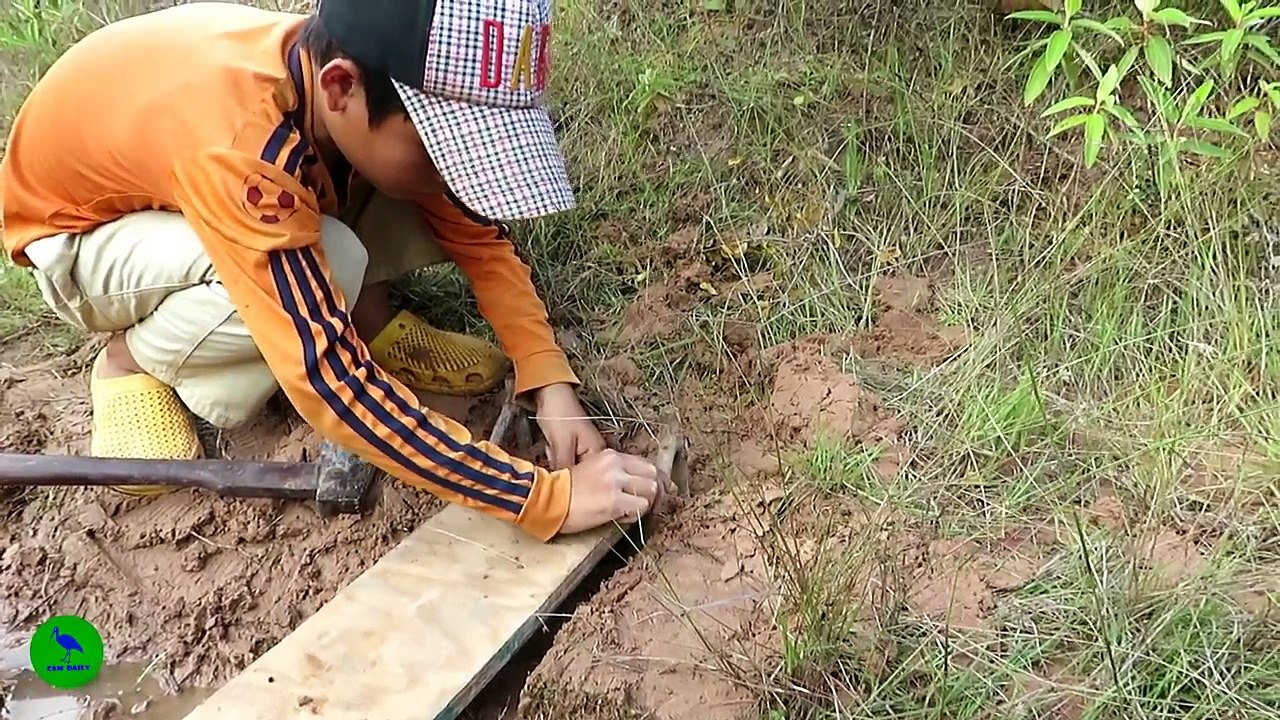 Wow! Creative Boy Makes Python Snake Trap Using Nets & Branches - The Best Big Python Trap Work 100%