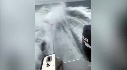 Kéo lê cá mập bằng ca-nô với tốc độ cao, 3 thanh niên đã bị cảnh sát bắt giữ