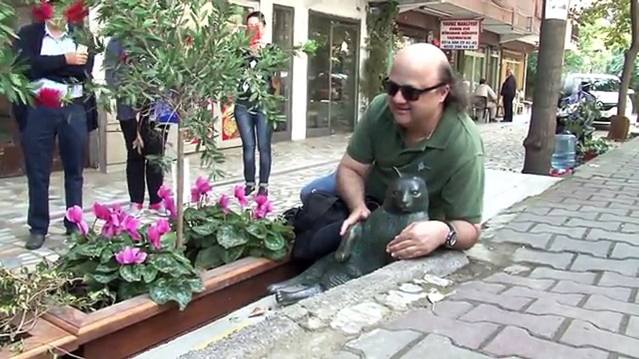 Tưởng nhớ mèo Tombili - linh vật đường phố Istanbul