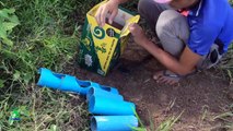Awesome Quick Bird Trap & Easy Deep Hole Using PVC And Case Paper - Easy Best Quail Traps Work 100%
