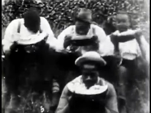 Watermelon Contest (1900)