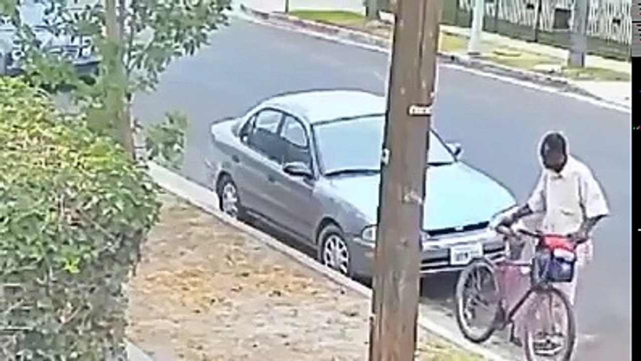 See The Work Of Professional Thief Video Caught On CCTV Camera