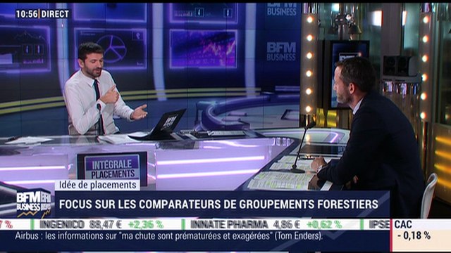 Idées de placements: Investir dans les forêts, un risque ou un avantage ? - 14/12