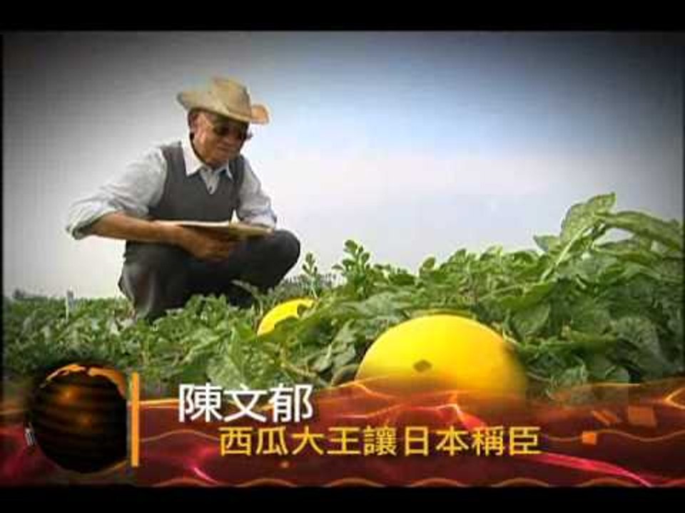 0802大時代PROMO MIT