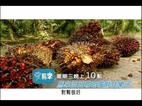 愛玩客-惟毅8.wmv