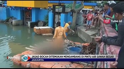 Jasad Bocah Mengambang Ditemukan di Sawah Besar