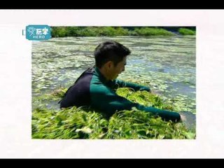 惟毅-新主持人-2.wmv