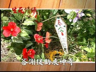 SD PROMO 擷3 新戲說台灣 生死情緣