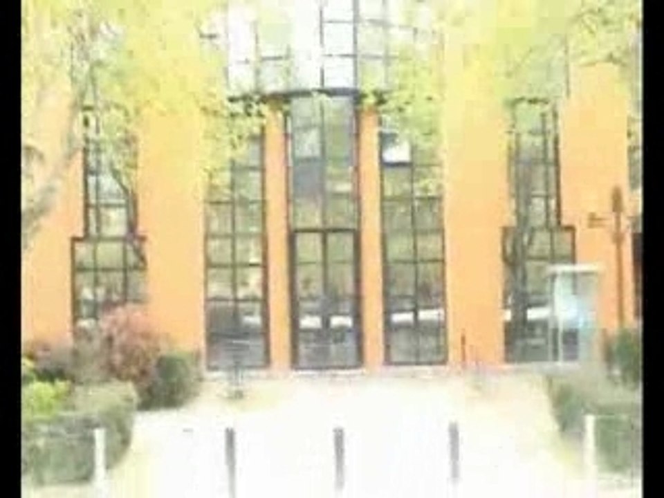 Film Sporadize ( BDS 2006 ) 1