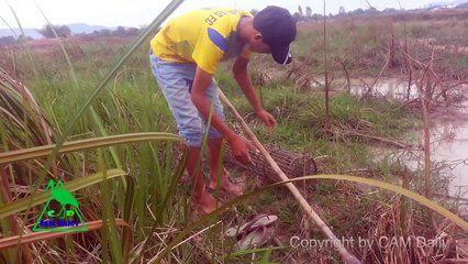 Amazing Man Catch Crab With Big Bamboo Net Trap in Water  - How to Catch Crab with trap in Cambodia