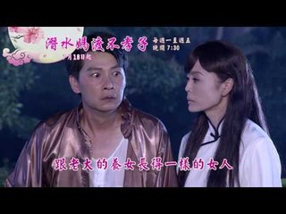 手動算檔 R新戲說台灣HD30秒第3461 3465集潛水媽渡不孝子11 15有字promo  Web HD VBR6Mb