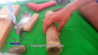 Bamboo Pipe Mouse Traps in Cambodia - Amazing Catch Rat With Bamboo Traps