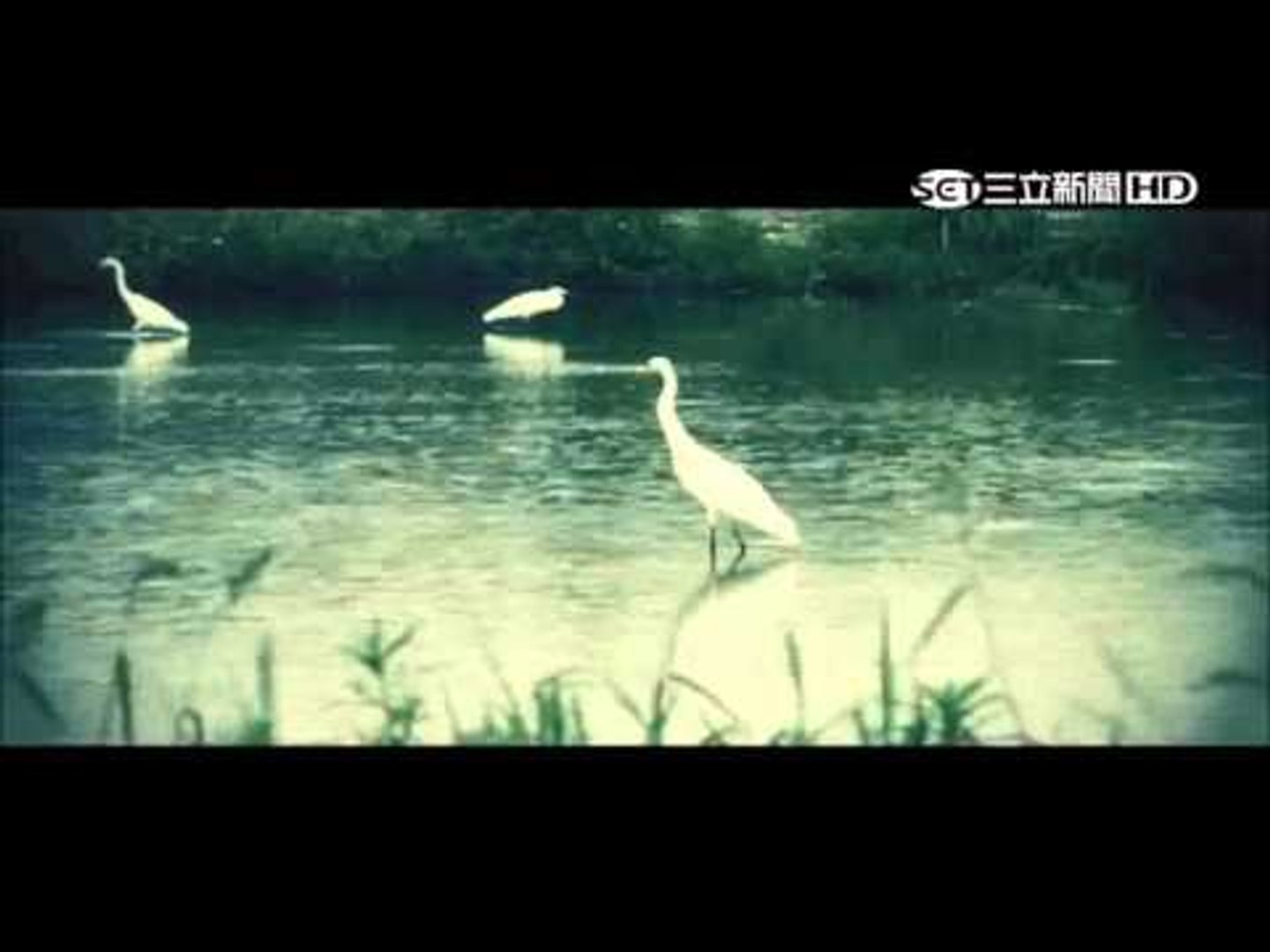 2015桃園電影節CF