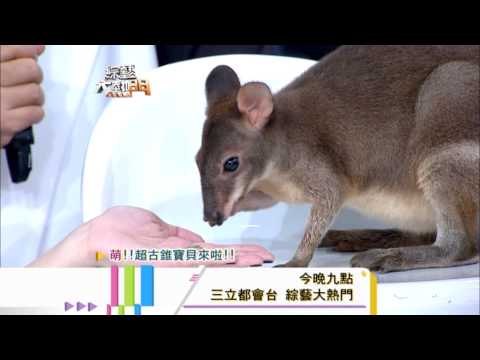 0911[綜藝大熱門]精采預告