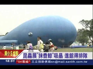 昆蟲展"抹香鯨"吸睛 進館得排隊 - 三立新聞台20131012