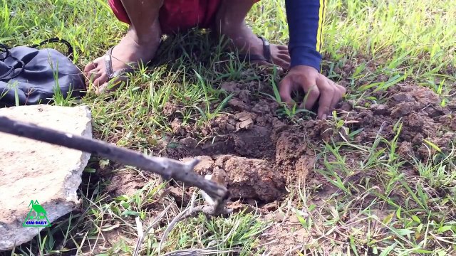 Awesome Quick Bird Trap Using Paiute Deadfall - How To Make Bird Trap With Paiute Deadfal Works 100%