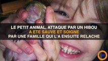 Un écureuil revient régulièrement rendre visite à la famille qui l'a sauvé 7 ans plus tôt !
