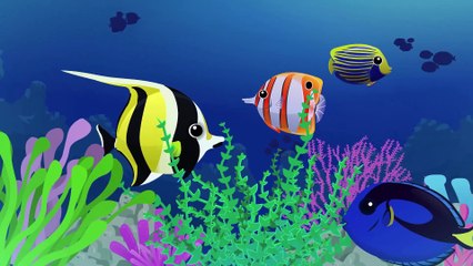 Story Time with Blippi - Treasure Chest