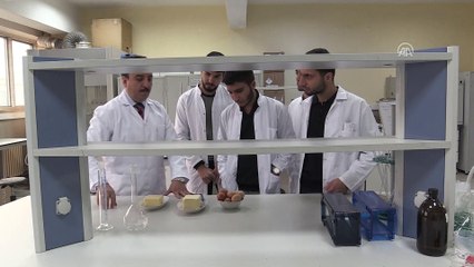 Yumurtayla besin değeri zenginleştirilmiş peynir üretildi - BİNGÖL