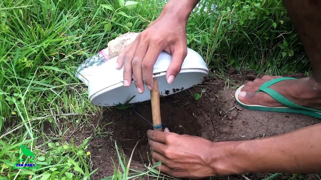 Amazing Quick Bird Perch Snare Trap in Cambodia Easy Best Bird Traps