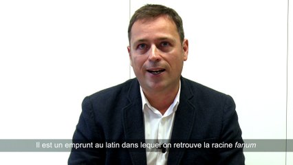 Pierre Manen - Vandalisme ou profanation