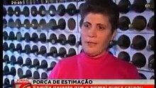 Casal vive com porca de 220kg
