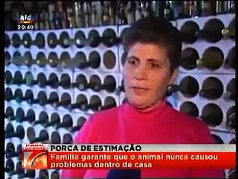 Casal vive com porca de 220kg