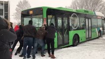 When A Bus Got Stuck In The Netherlands, Commuters Banded Together