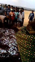 Des milliers de serpents relachés à vizag beach en Inde...