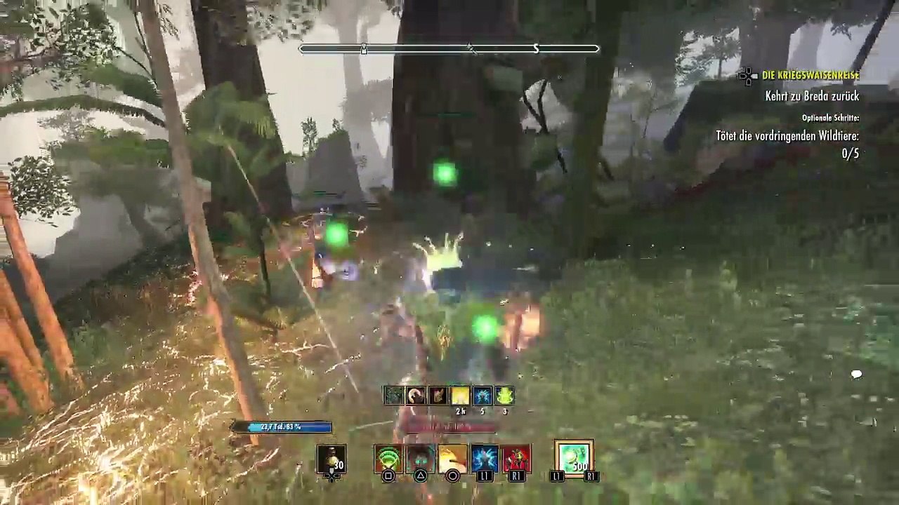 DonAleszandro The Elder Scrolls «-Das Neujahrsfest mit dem Handelsheiler-» (490)