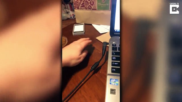 Caché derrière l'ordinateur, ce chat vole du pain discrètement...