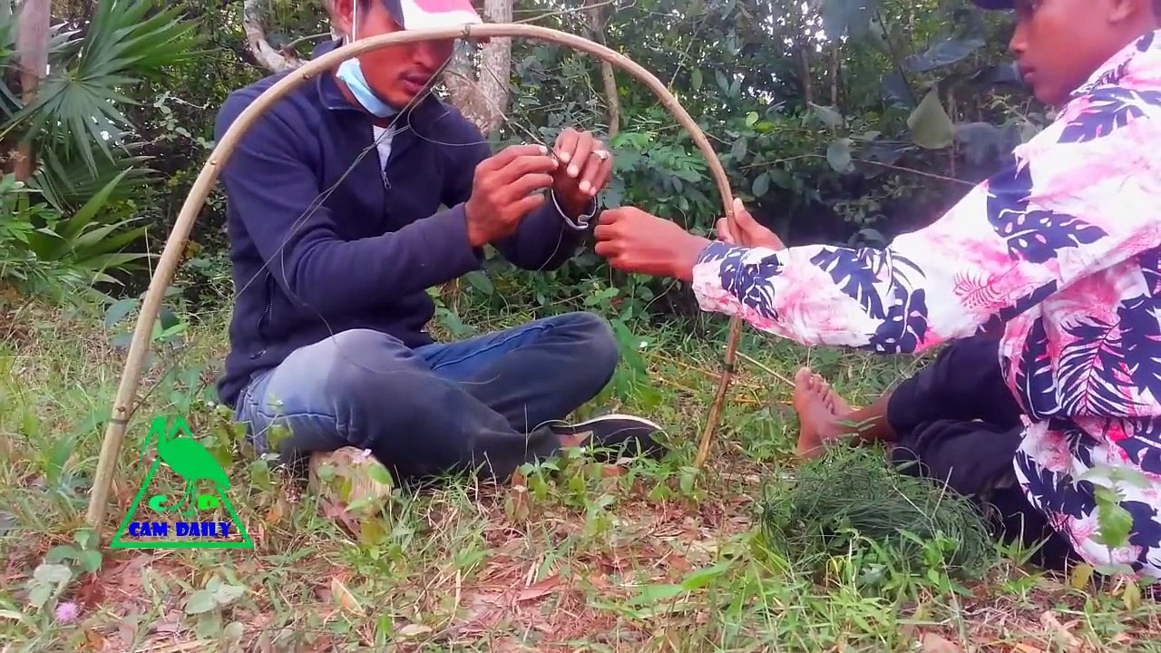 Traditional Bird Trapping In cambodia - Amazing Quick Bird Traps Homemade - Best Bird Traps
