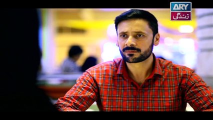 Mubarak Ho Beti Hoi Hai Ep - 12 in High Quality on Ary Zindagi 14th December 2017