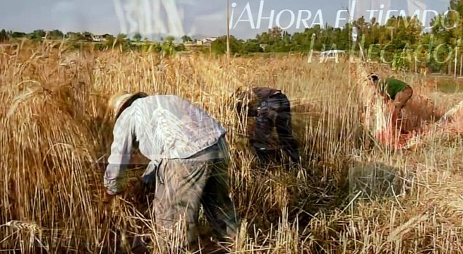Sembrando Esperanza - El hijo prodigo - Serafín Porcel - 18.11.2017