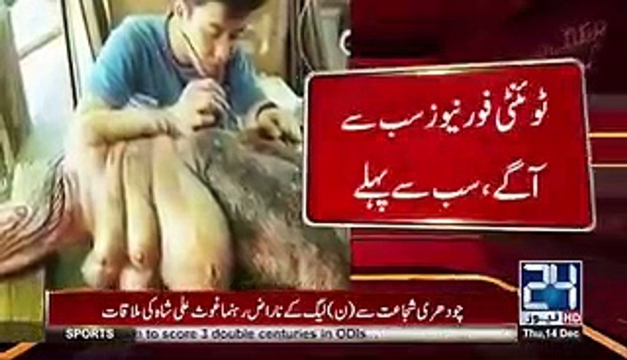 گزشتہ روز سوشل میڈیا پر وائرل ہونے والی عجیب مخلوق کی ویڈیو کی حقیقت سامنے آ گئی حیران کن انکشاف