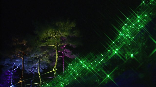 [영상] '빛의 향연' 보성 차밭 빛 축제 개막 / YTN