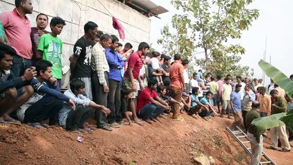 Leopardo é resgatado em poço na Índia