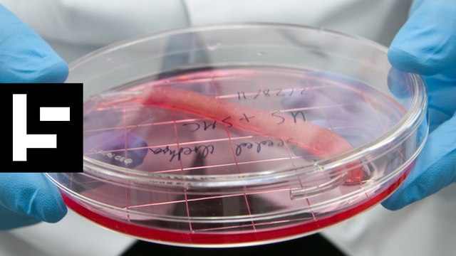 10 Greatest Scientific Breakthroughs of 2017