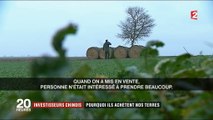 Les investisseurs chinois à l'assaut des terres agricoles françaises